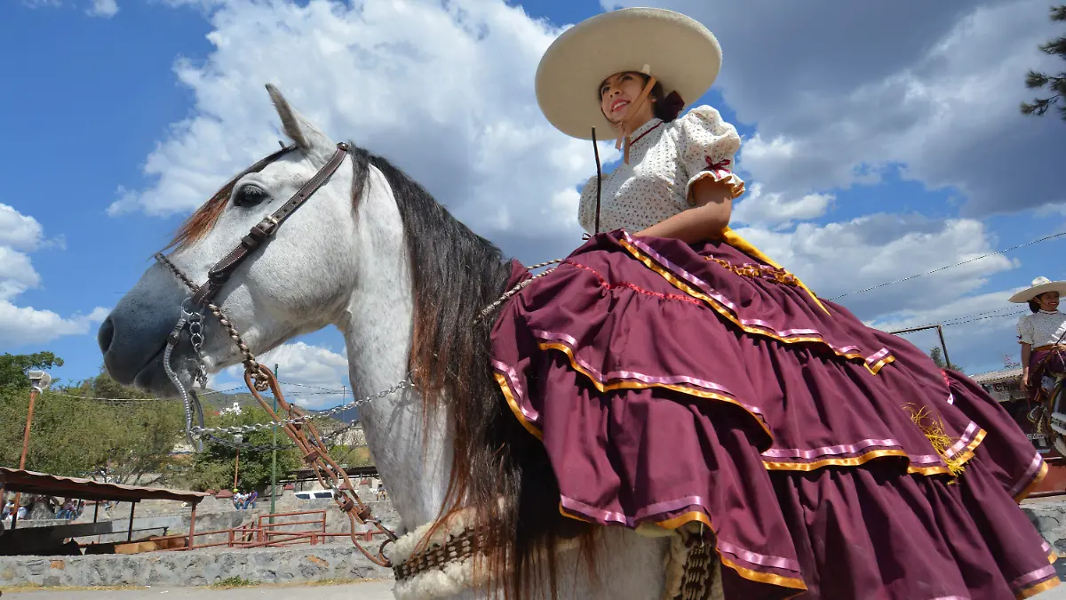 Caballo José Hernández Cuartoscuro